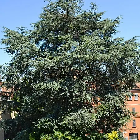 Everyday Giardini Margherita 4* Болонья